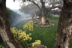 agriturismo-61