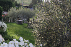 agriturismo24