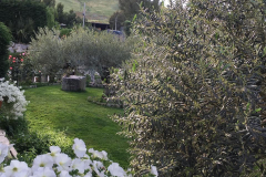 agriturismo46