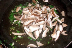 funghi-fresci-appena-raccolti